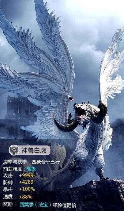 深入了解知识星球多子多福是什么意思,开启知识分享与成长之旅
