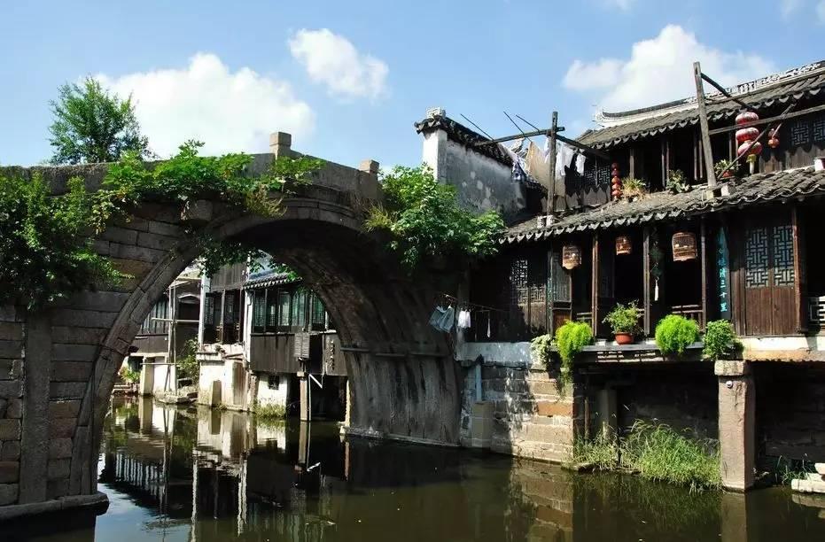 植物大战僵尸4