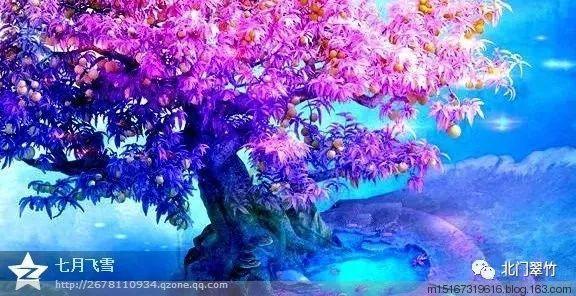 幻想乡大冒险3